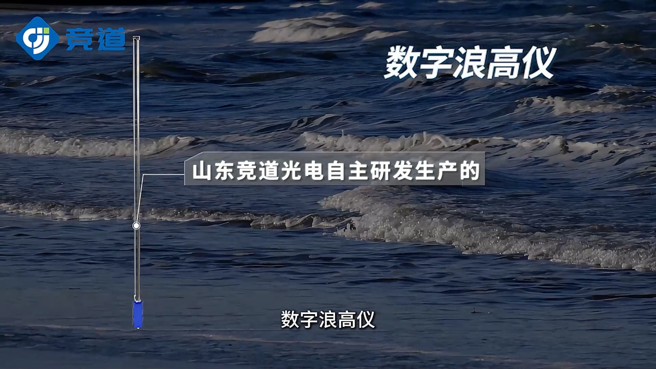 数字浪高仪：快速响应测量，及时反馈浪高动态变化