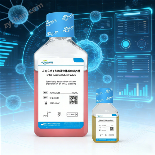 ���g���|�ɼ��������w���B��