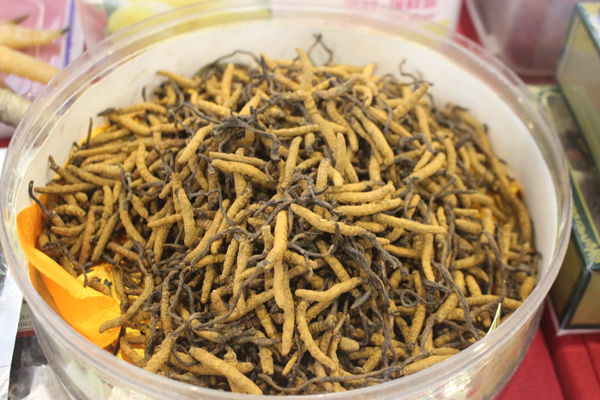 3月中醫(yī)藥新政密集落地，產(chǎn)業(yè)高質(zhì)量發(fā)展迎來(lái)新機(jī)遇！