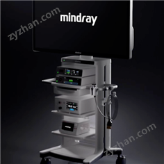 邁瑞4K三維內(nèi)窺鏡熒光攝像系統(tǒng)廣東代理