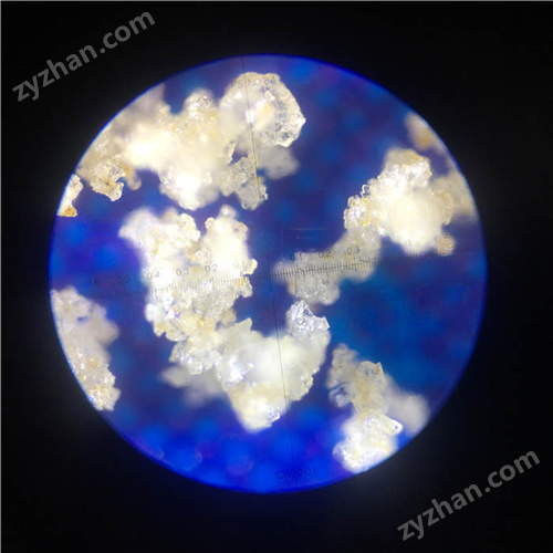 ����҇��F����������-��������