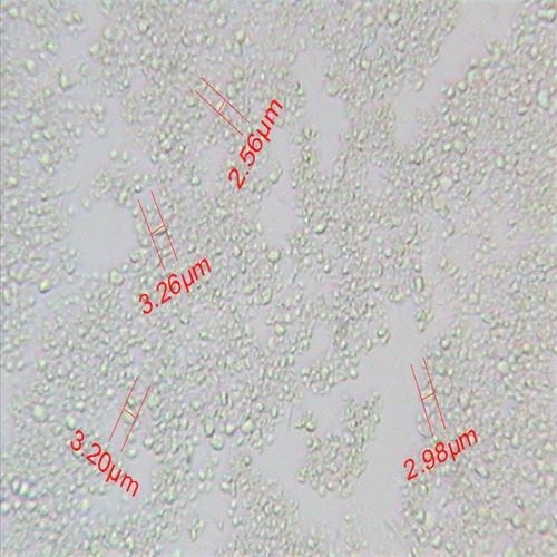 ԭ��ˎ������ӹ�