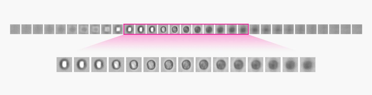 Cell-Counting-Accuracy_figure1