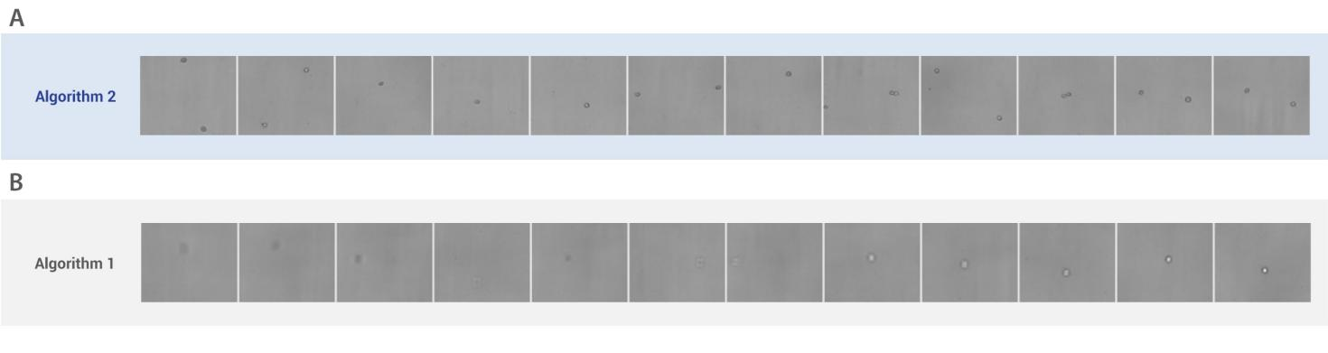 Cell-Counting-Accuracy_figure3