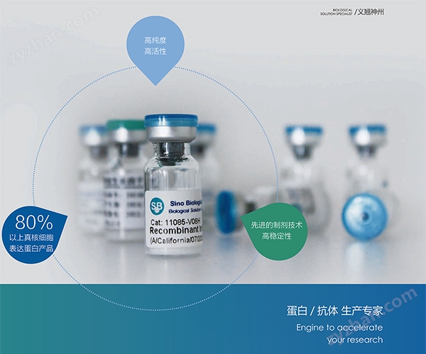 zyw-1.jpg PTGS2人重組蛋白